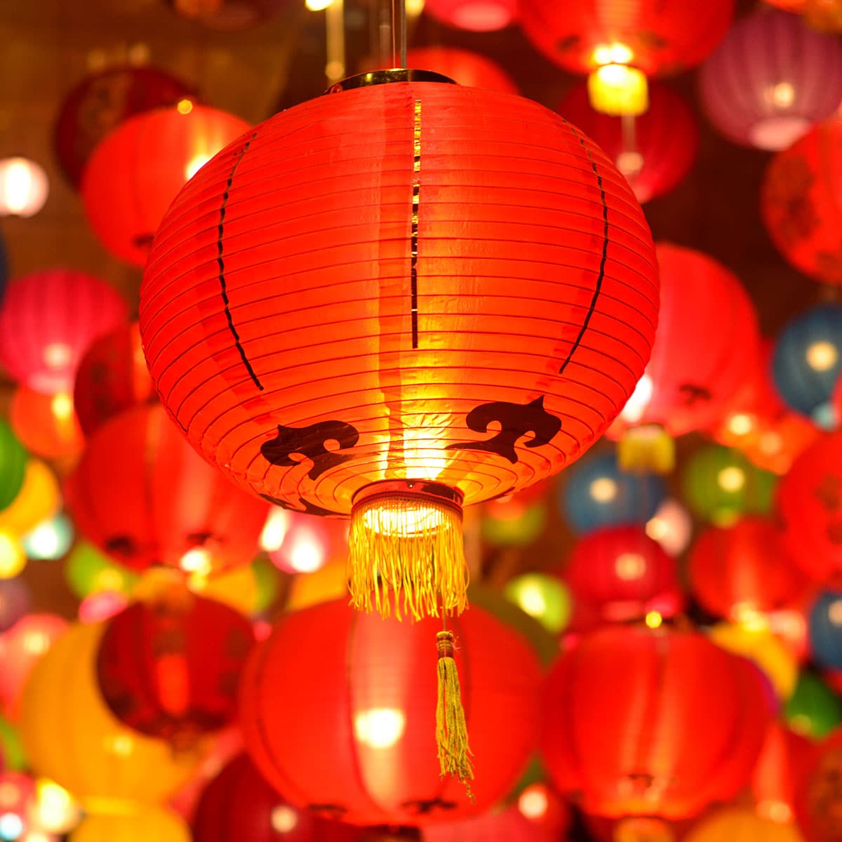 Chinese New Year January 25, 2025 Spirit Of The Holidays