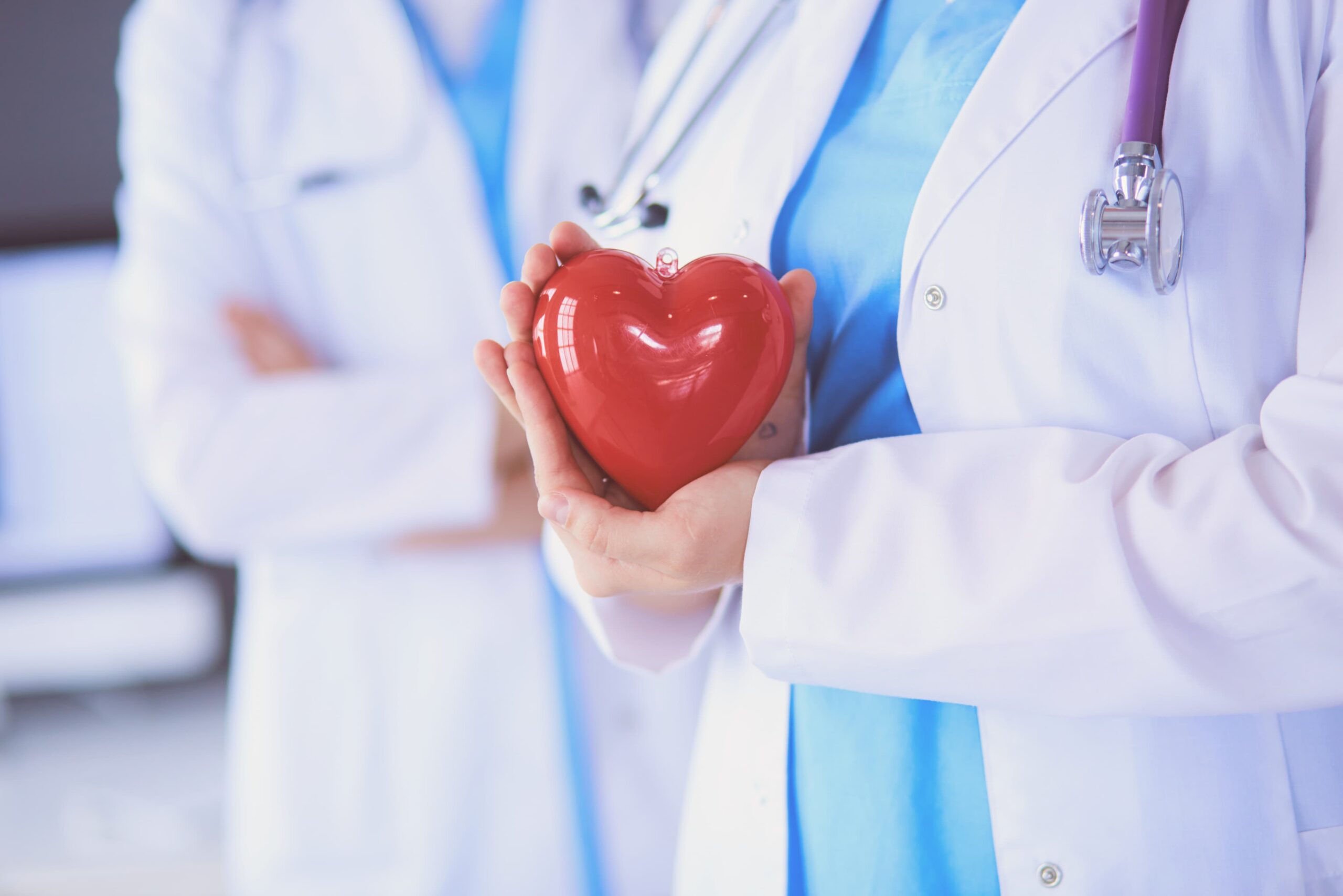 Congenital Heart Defect Awareness Week February 28, 2025 Spirit Of