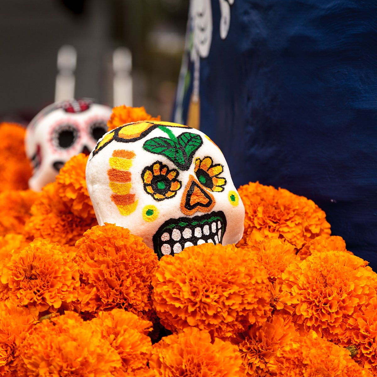 Day of the Dead November 2, 2024 Spirit Of The Holidays