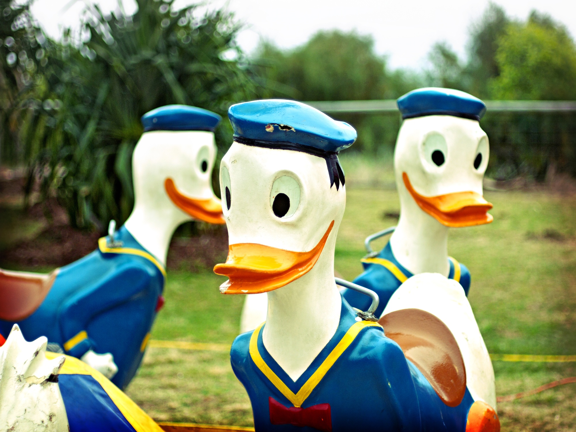 Donald Duck Day June 9, 2024 Spirit Of The Holidays