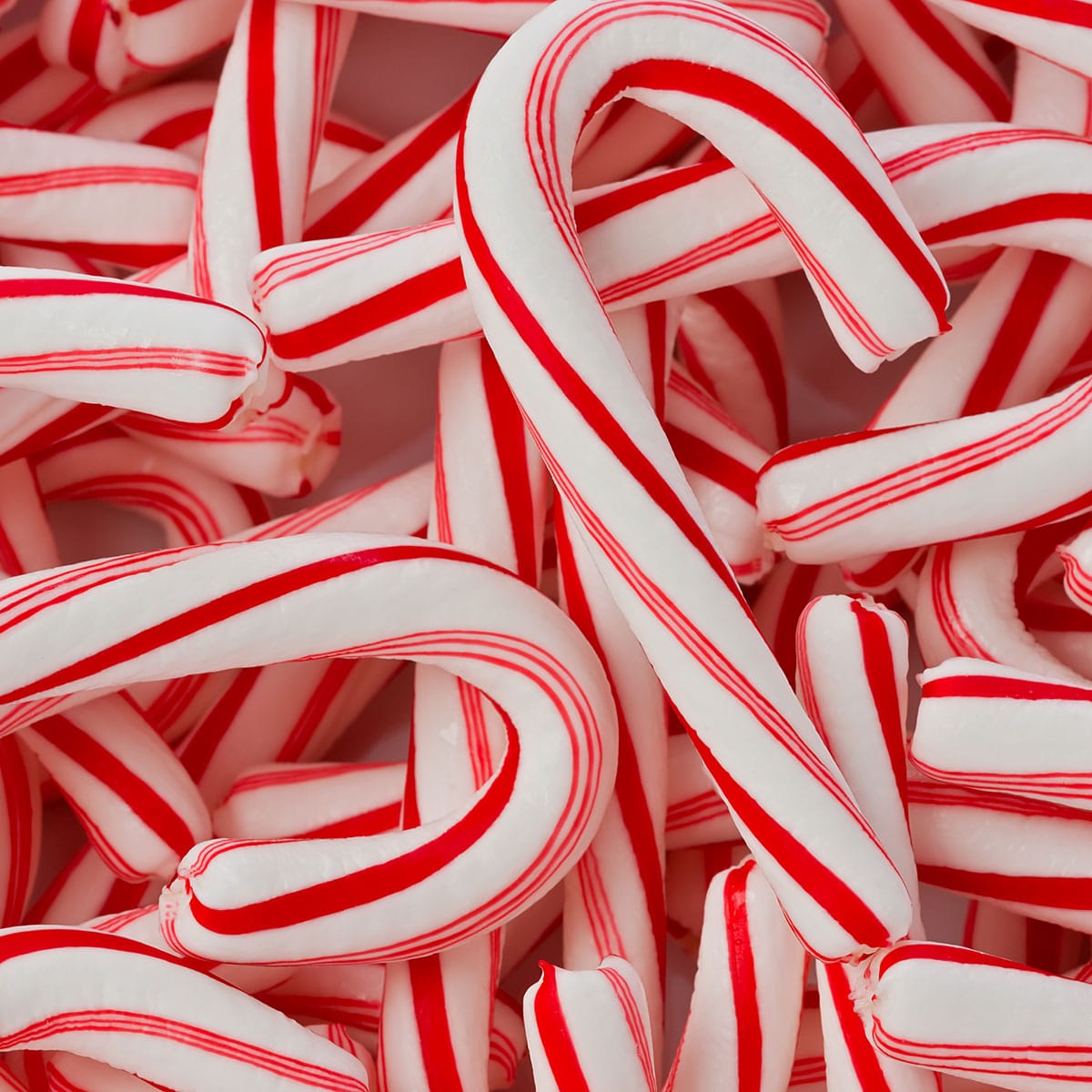 National Candy Cane Day December 26, 2024 Spirit Of The Holidays