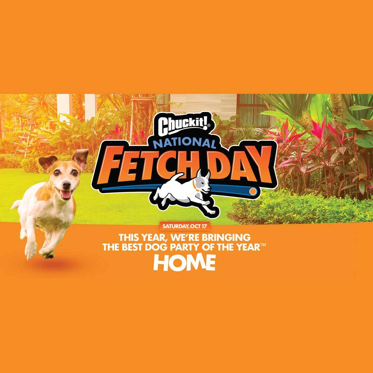National Fetch Day October 17, 2024 Spirit Of The Holidays