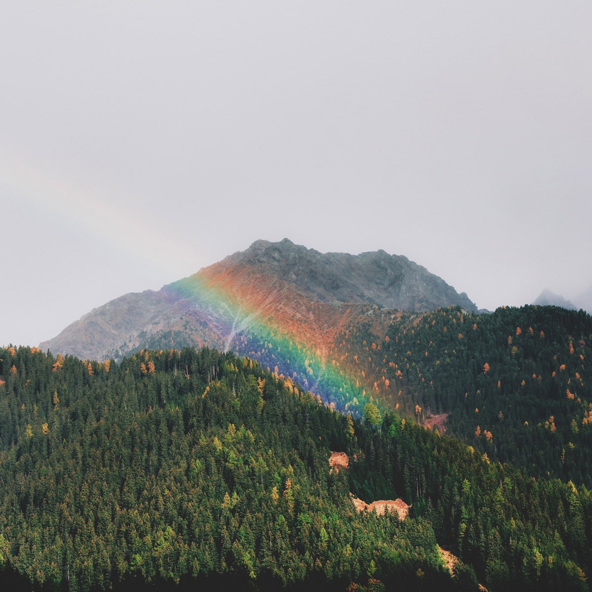 National Find a Rainbow Day April 3, 2025 Spirit Of The Holidays