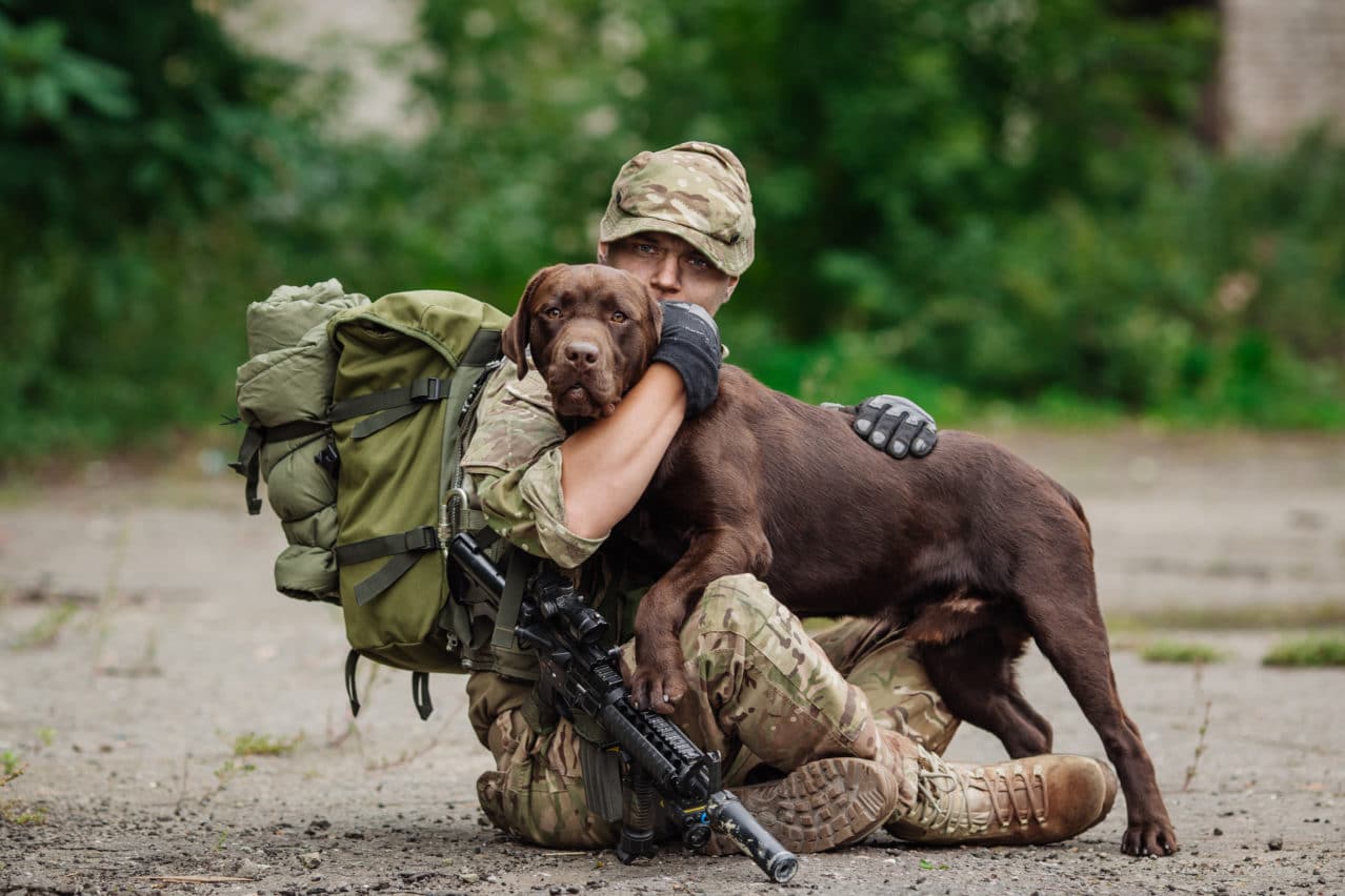 National Pets for Veterans Day October 21, 2024 Spirit Of The Holidays
