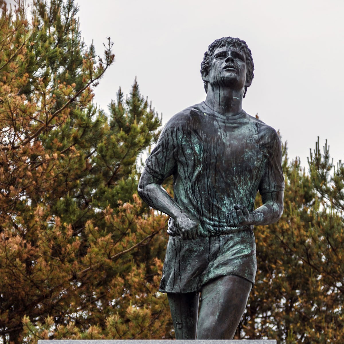 Terry Fox Day August 3, 2024 Spirit Of The Holidays